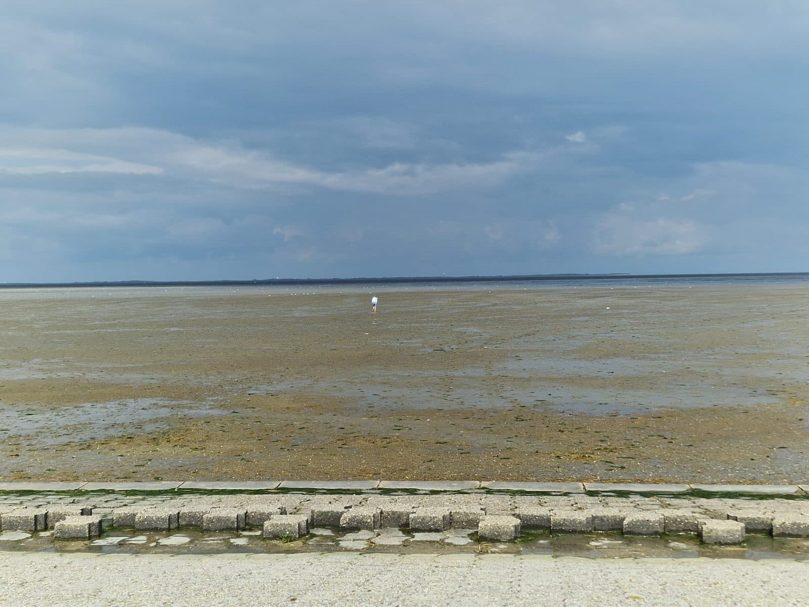 20240825_130809-scaled